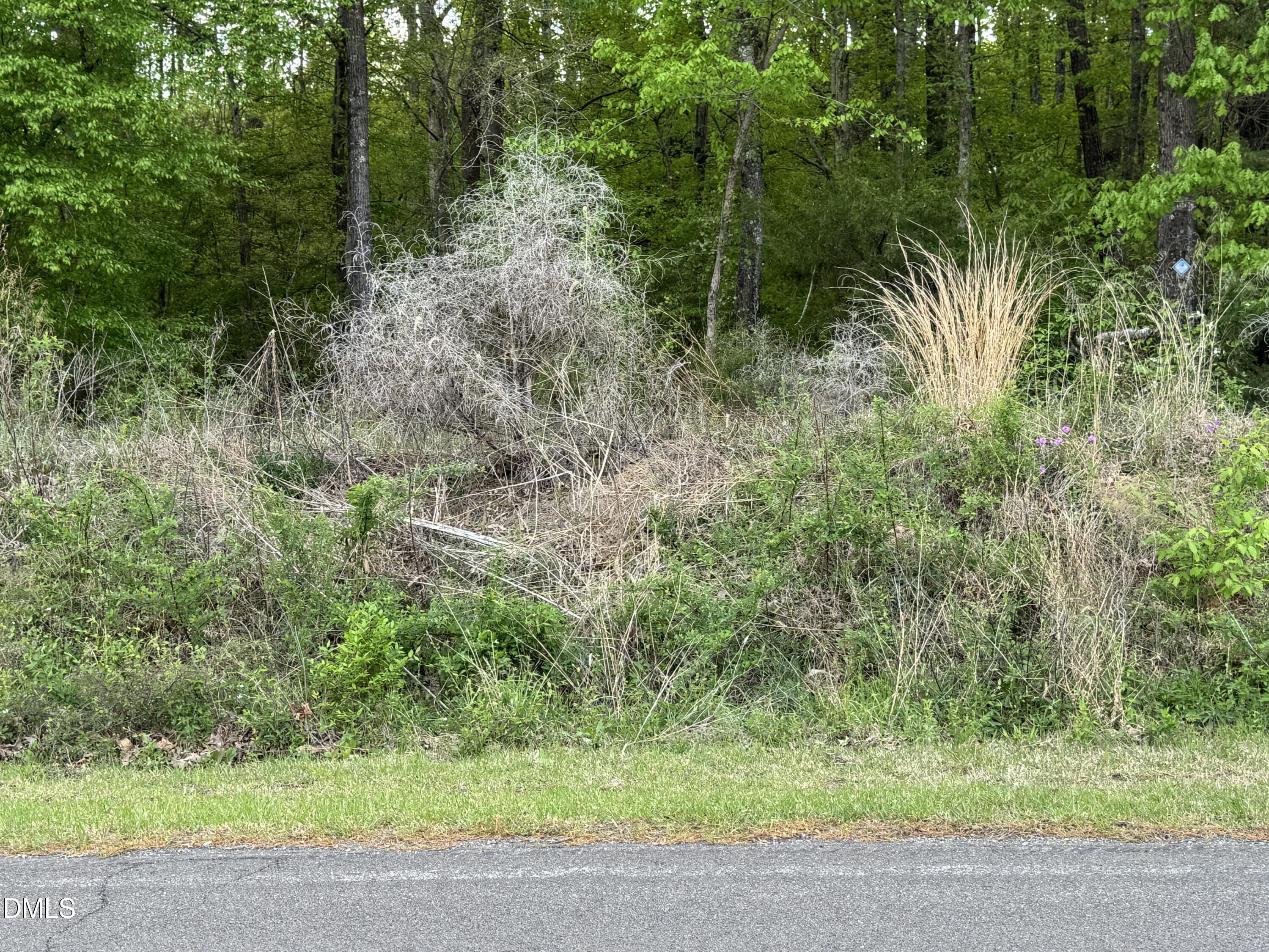 4222 Jeffries Road Durham, NC 27704 - Photo 2 of 5 a view of a yard with plants and a bench