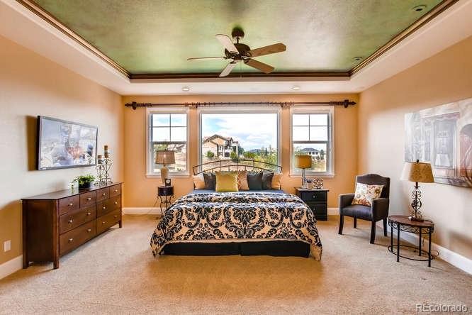 3785 Fairbrook Point Highlands Ranch, CO 80130 - Photo 16 of 35 Gallery Image 16