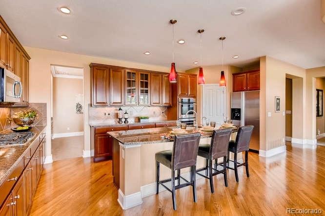 3785 Fairbrook Point Highlands Ranch, CO 80130 - Photo 7 of 35 Gallery Image 7