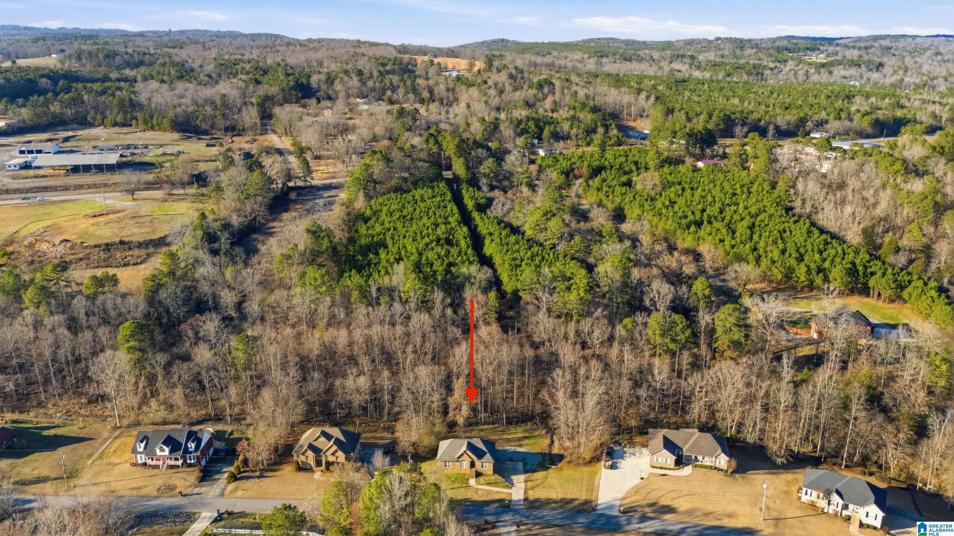 231 Magnolia Circle Warrior, AL 35180 - Photo 48 of 52