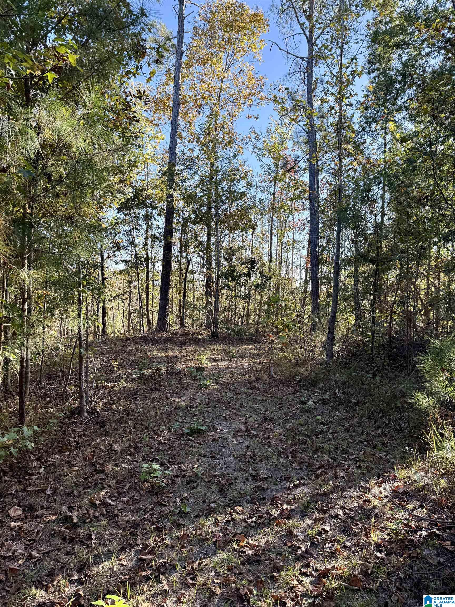 7070 Rendalia Motorway Talladega, AL 35160 - Photo 20 of 28