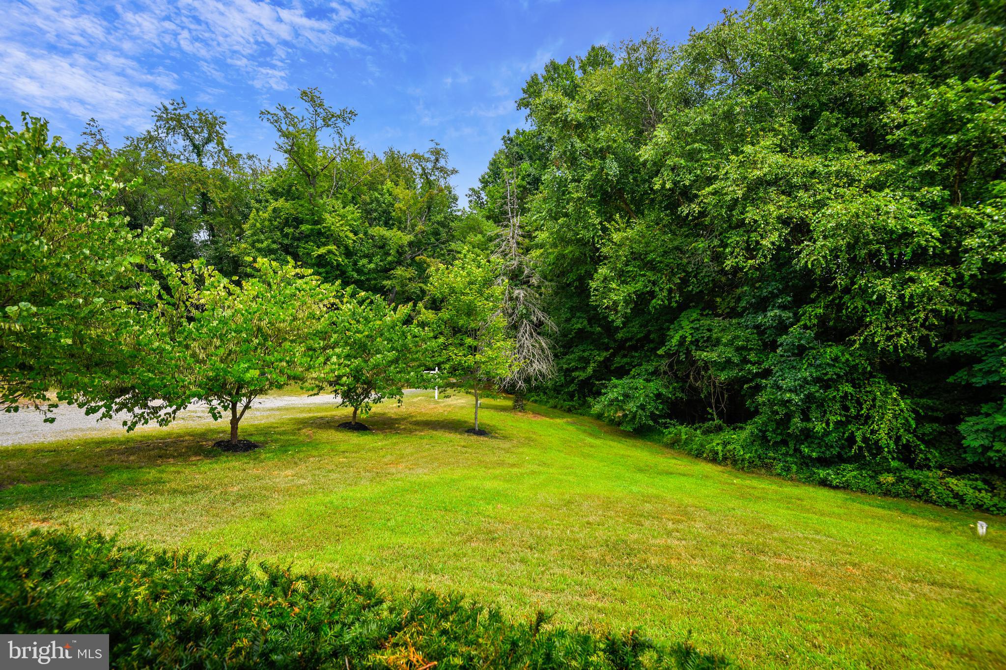 7014 Prout Road Friendship, MD 20758 - Photo 78 of 85 Gallery Image 78