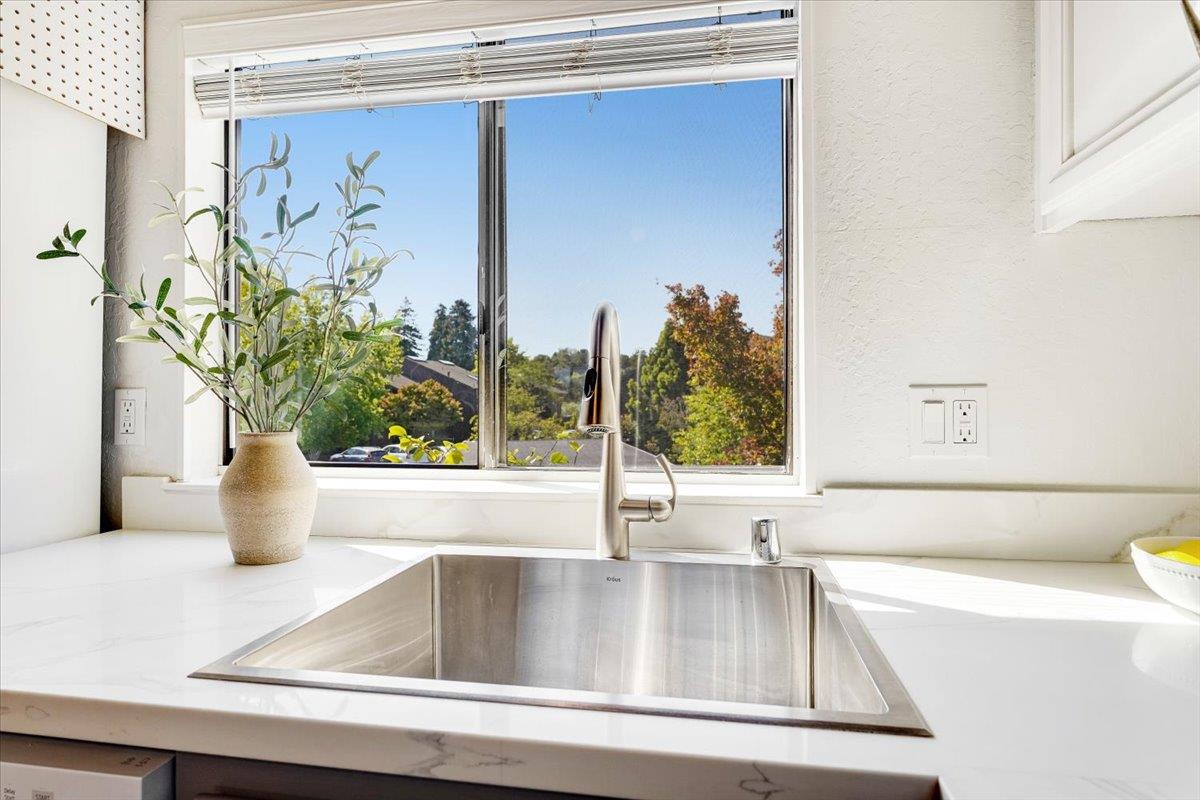 113 Tree Frog Lane Santa Cruz, CA 95060 - Photo 12 of 49 a kitchen with a sink and a potted plant