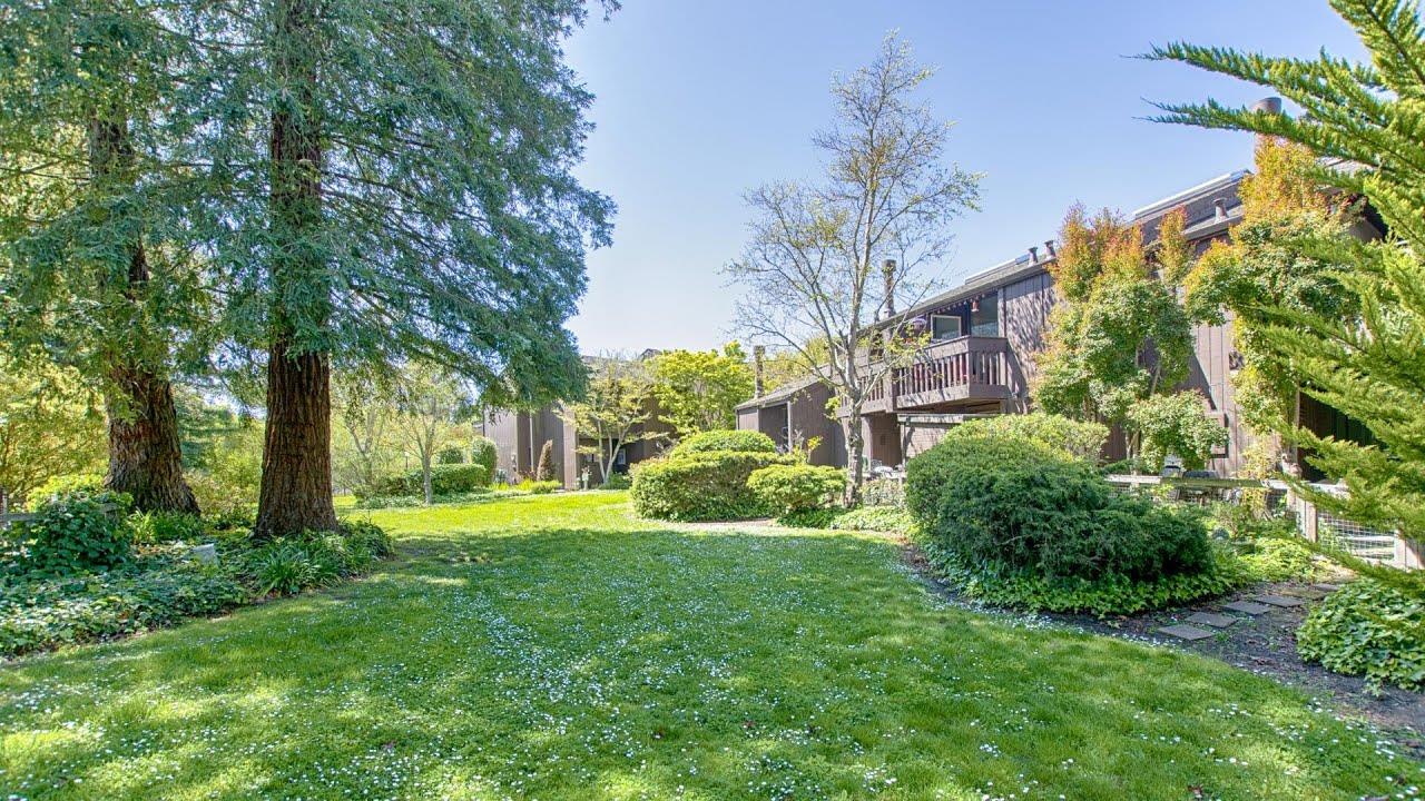 113 Tree Frog Lane Santa Cruz, CA 95060 - Photo 32 of 49 a view of a house with a big yard and large trees