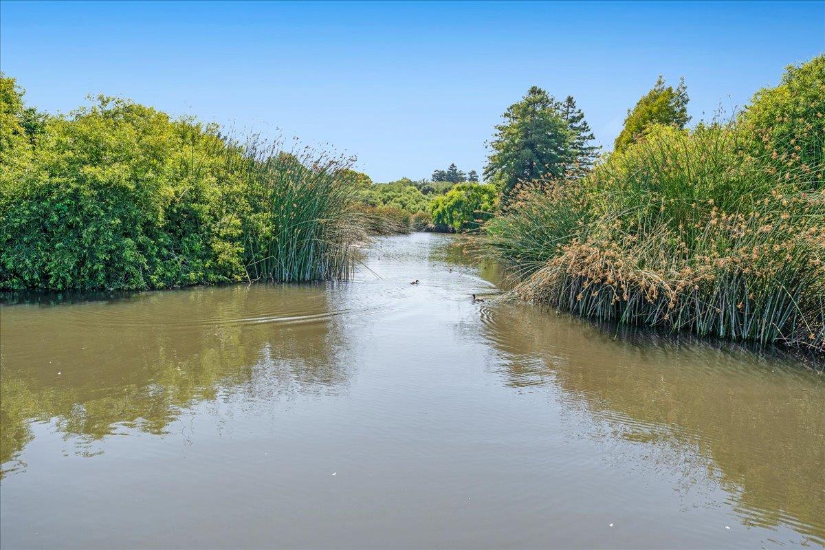 113 Tree Frog Lane Santa Cruz, CA 95060 - Photo 42 of 49 a view of lake