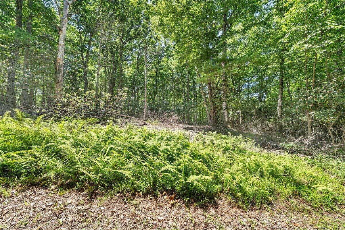 Tbd Dogwood Ridge Fancy Gap, VA 24328 - Photo 6 of 24 17-MIB08729