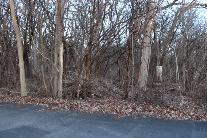 27-w020 Walz Way Wheaton, IL 60189 - Photo 5 of 9 a view of a forest with trees in the background