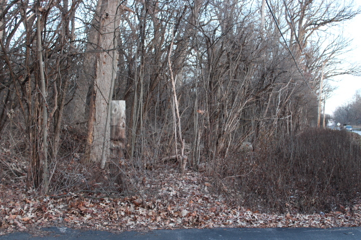 27-w020 Walz Way Wheaton, IL 60189 - Photo 6 of 9 a view of a yard