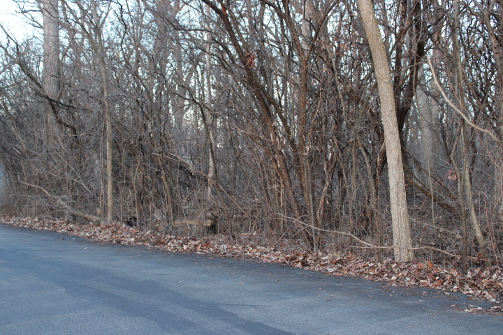 27-w020 Walz Way Wheaton, IL 60189 - Photo 9 of 9 a view of a yard with wooden fence
