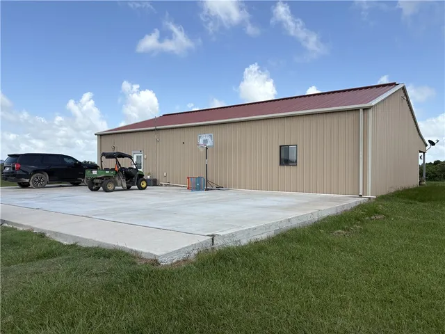 a view of a backyard with potted plants and large tree