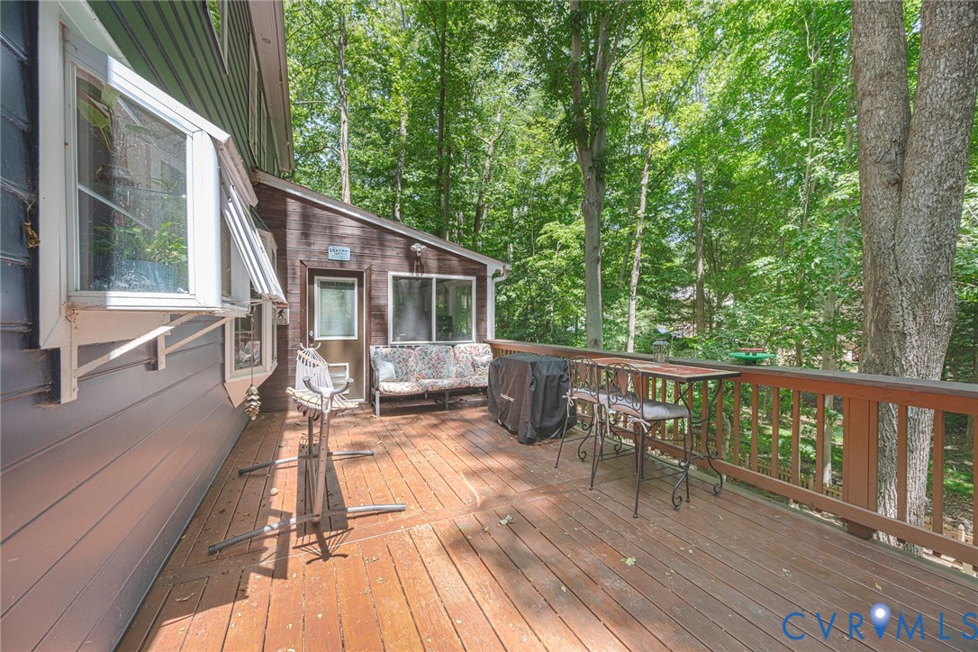 4501 Little Ridge Lane Chesterfield, VA 23832 - Photo 41 of 51