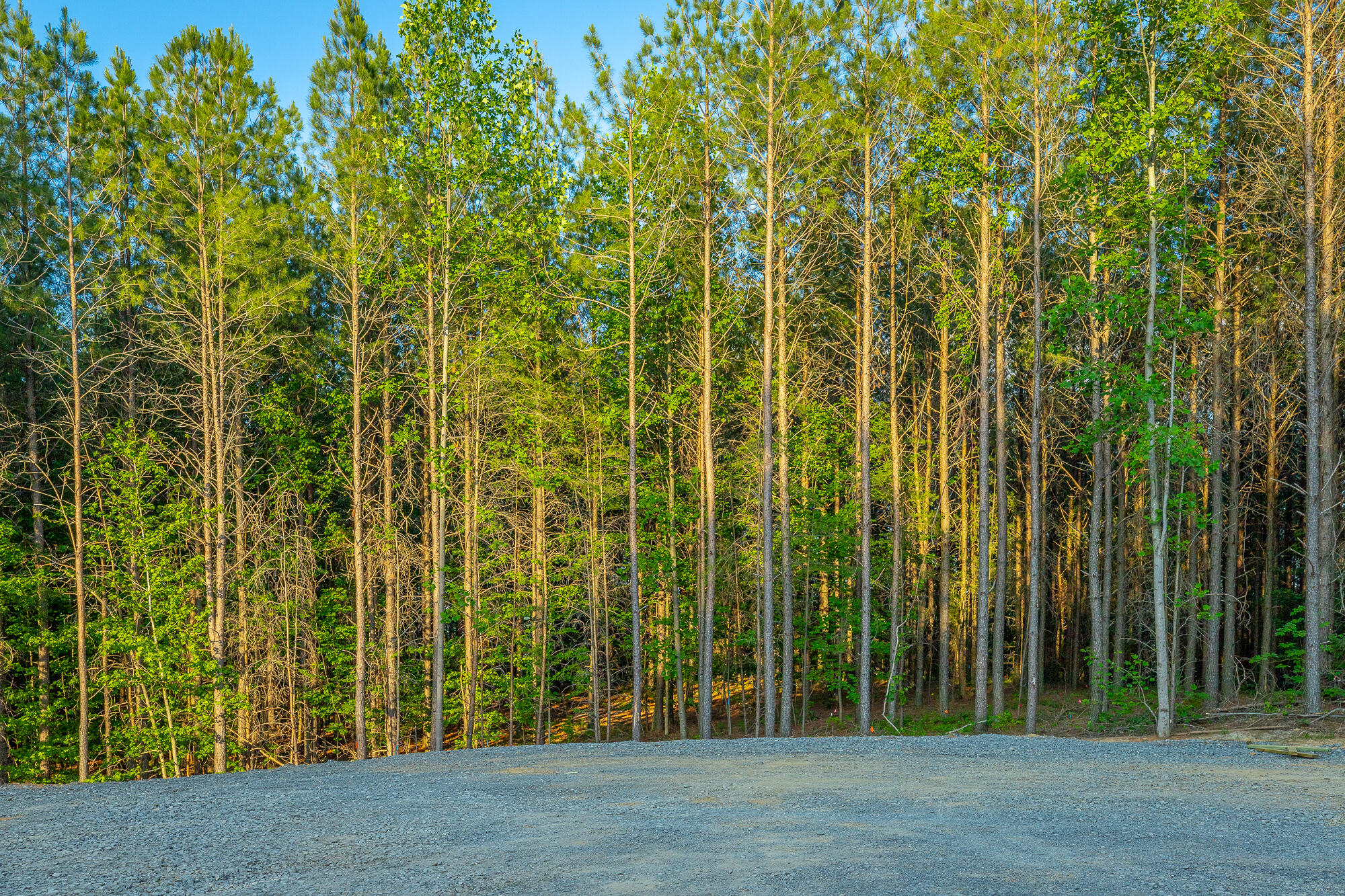 0 Back Basin Trail, Unit LOT 1244 Chattanooga, TN 37419 - Photo 43 of 119 0 Back Basin Trail - Lot 1244 HD-44
