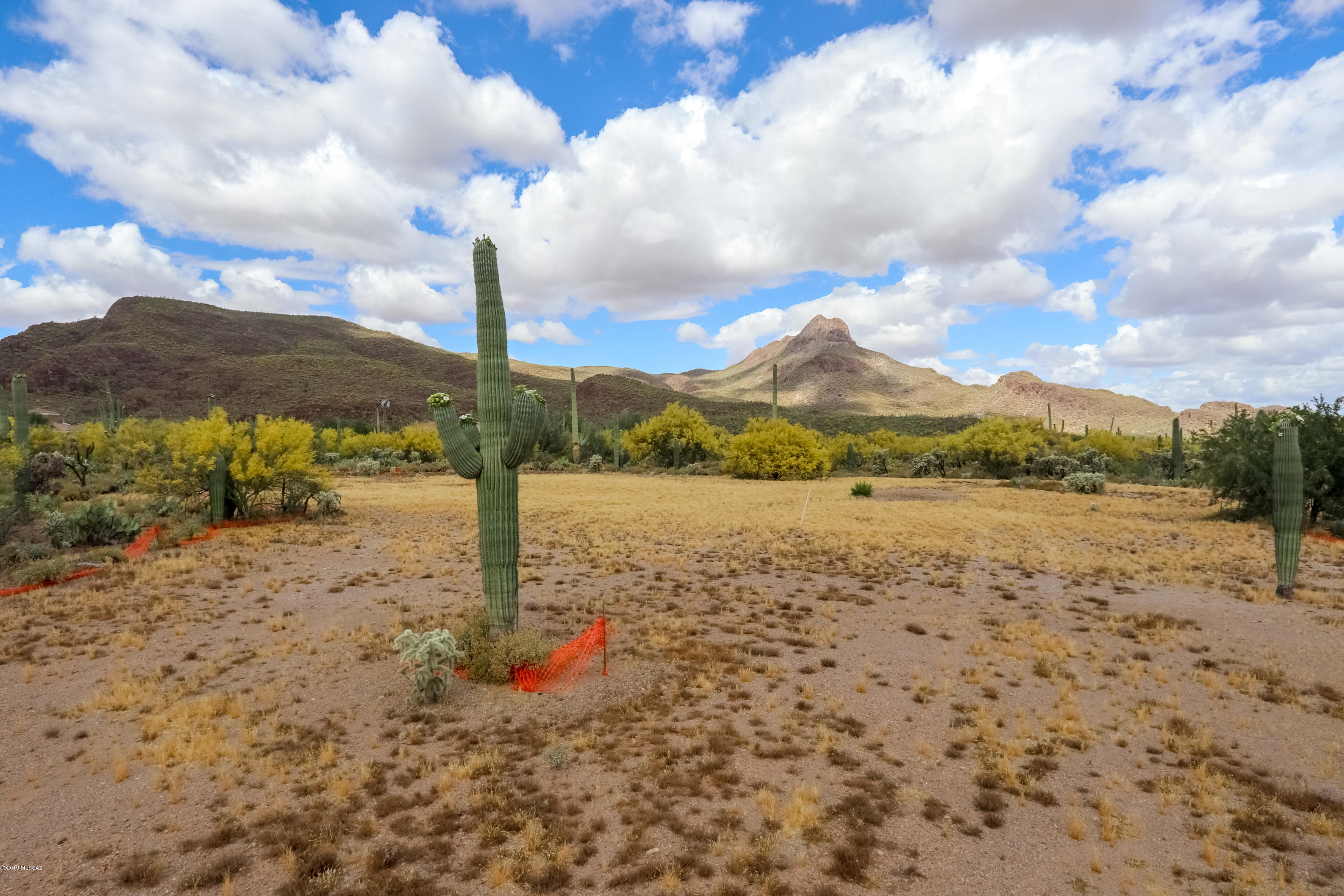7474 West Ina Road Tucson, AZ 85743 - Photo 10 of 18 Gallery Image 10