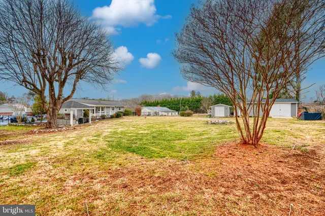 a view of a yard with a tree