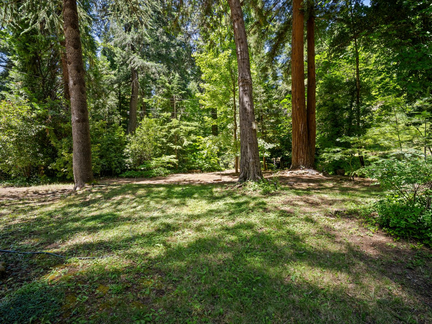 5011 Clear Creek Road Placerville, CA 95667 - Photo 24 of 72