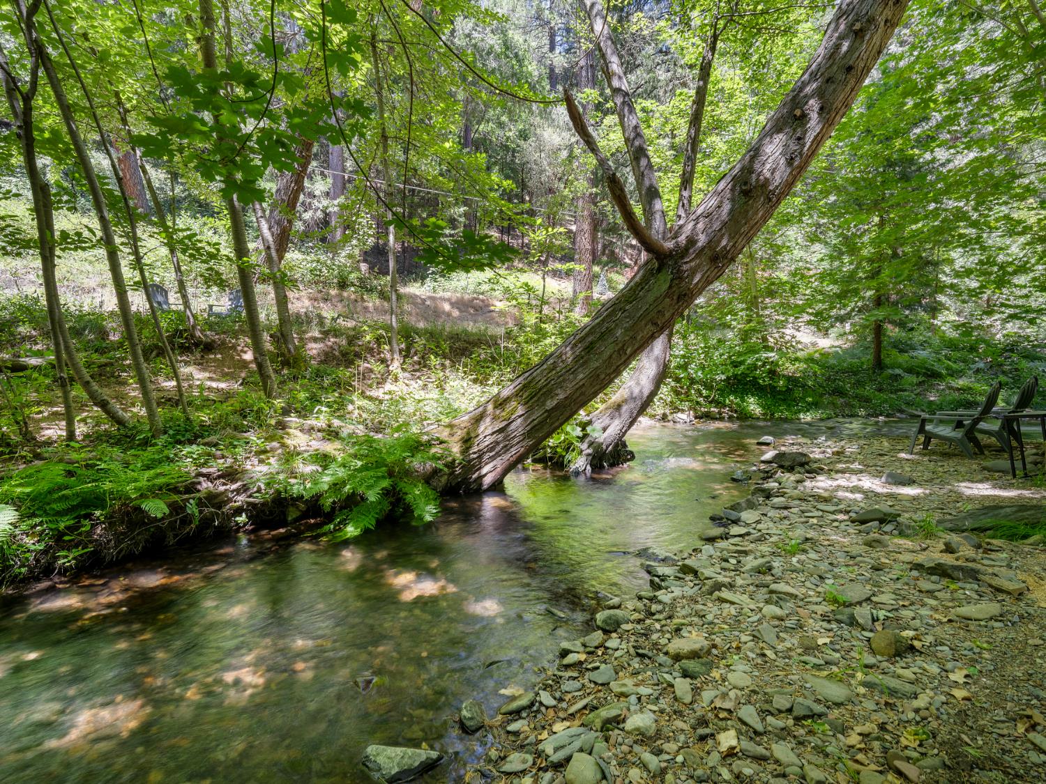 5011 Clear Creek Road Placerville, CA 95667 - Photo 38 of 72