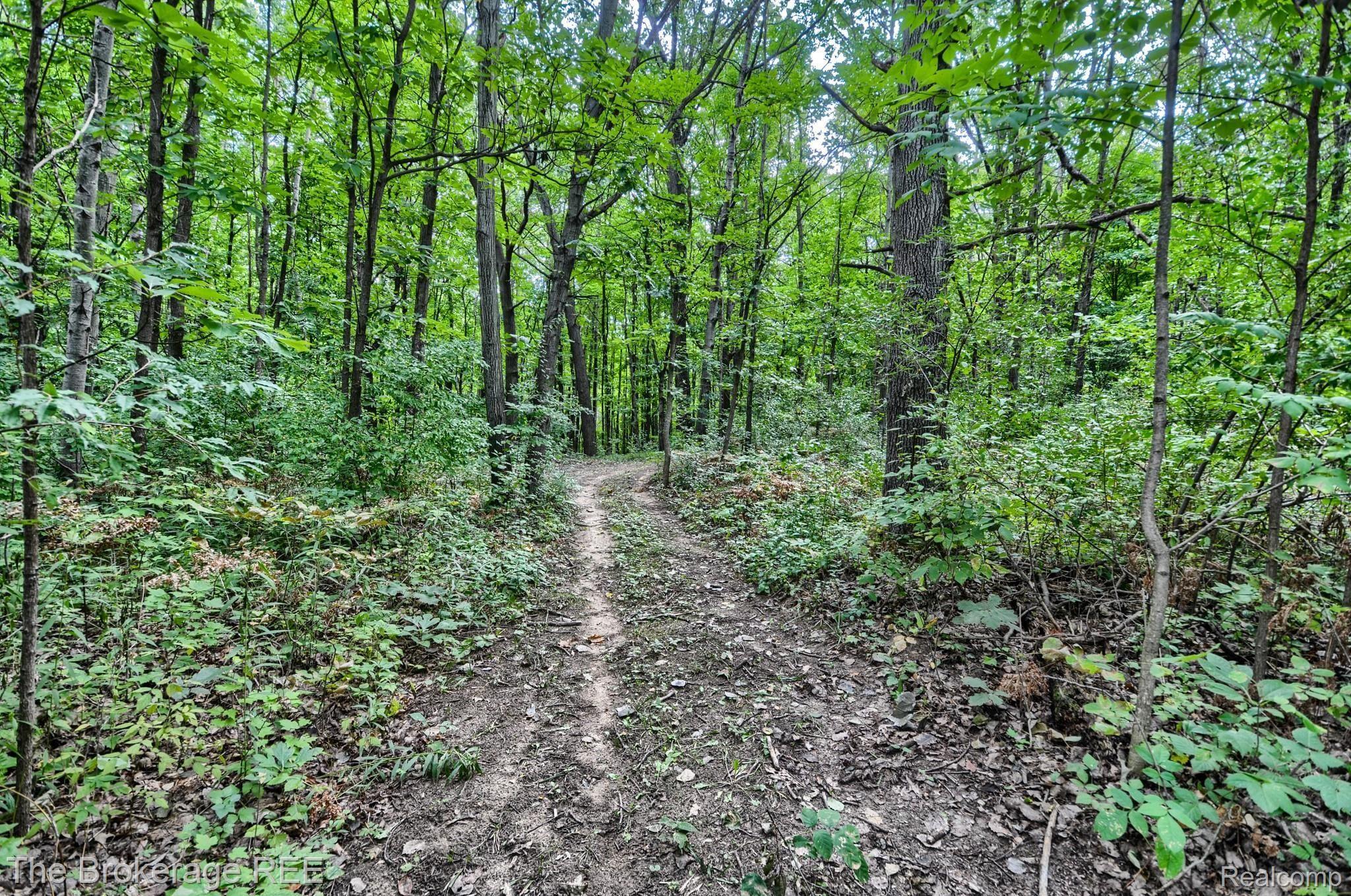 3277 Levalley Road Columbiaville, MI 48421 - Photo 7 of 44 SD3_5897-HDR(5).jpg