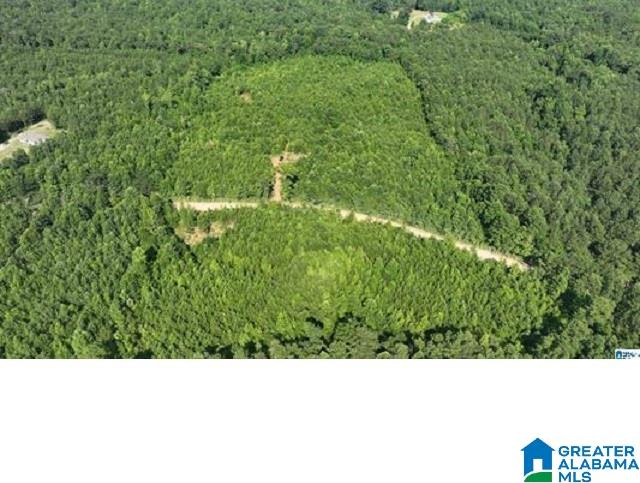 0 County Road 253, Unit 3 Clanton, AL 35046 - Photo 7 of 8