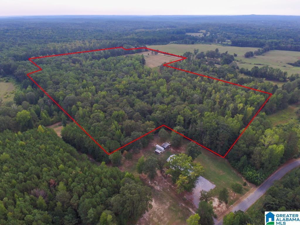 160 County Road 512 Verbena, AL 36091 - Photo 45 of 50