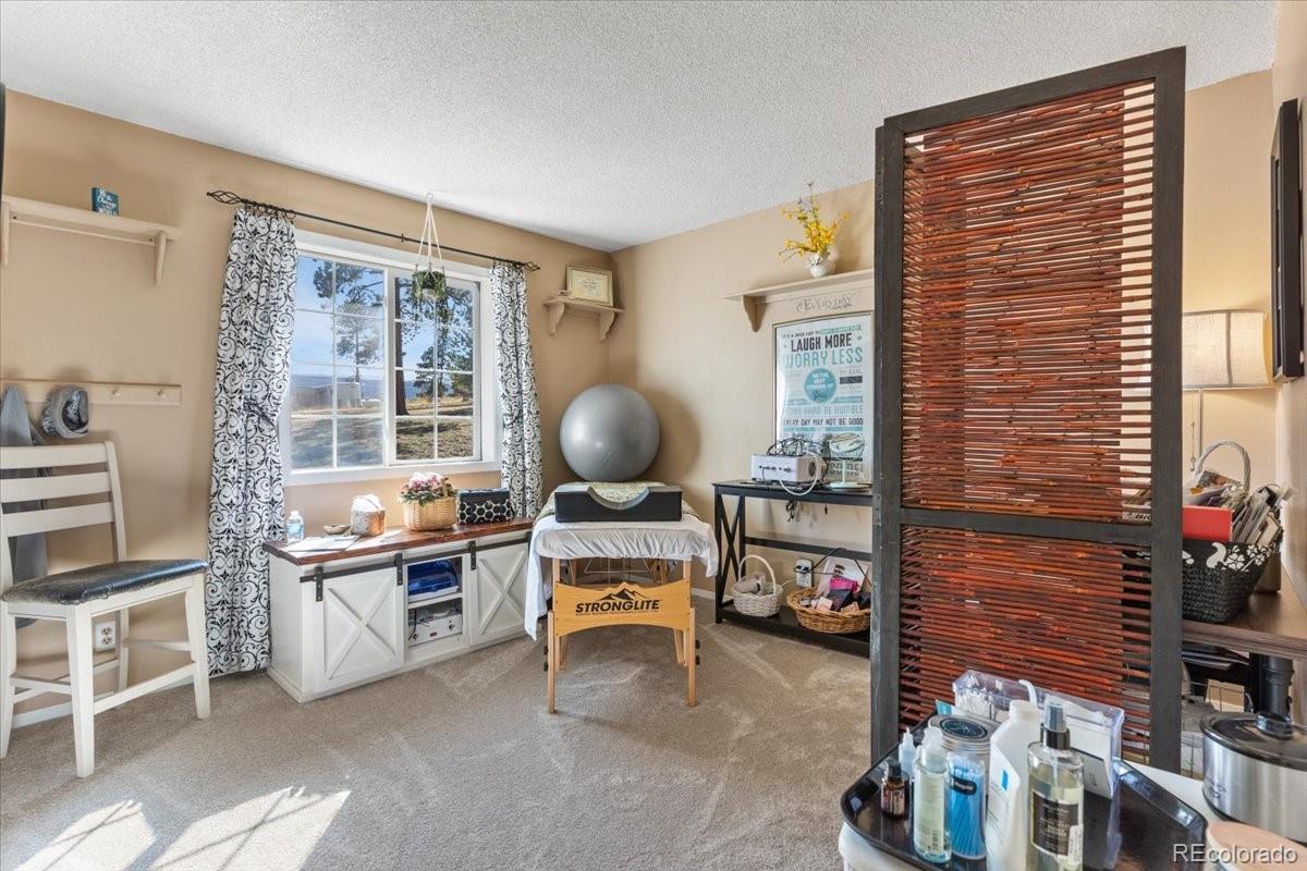 278 Overlook Drive Bailey, CO 80421 - Photo 21 of 40