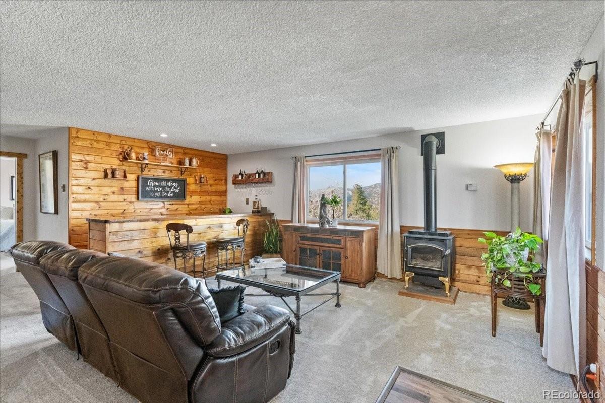 278 Overlook Drive Bailey, CO 80421 - Photo 24 of 40