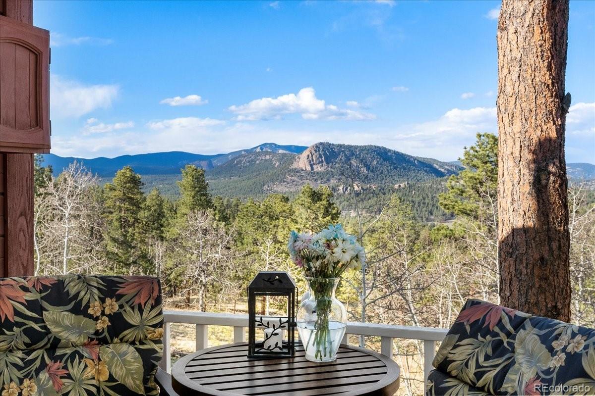 278 Overlook Drive Bailey, CO 80421 - Photo 33 of 40