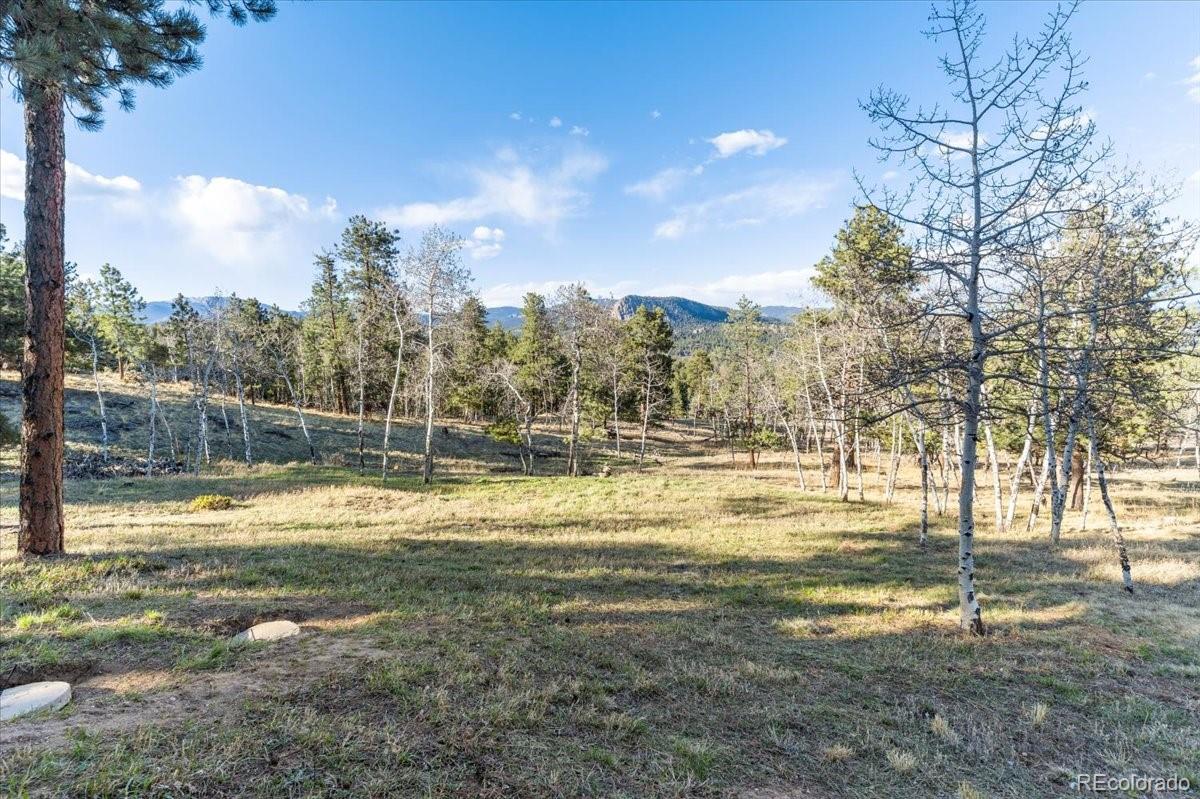 278 Overlook Drive Bailey, CO 80421 - Photo 34 of 40