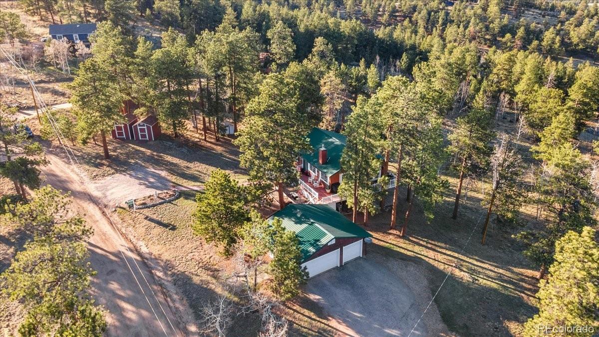 278 Overlook Drive Bailey, CO 80421 - Photo 37 of 40