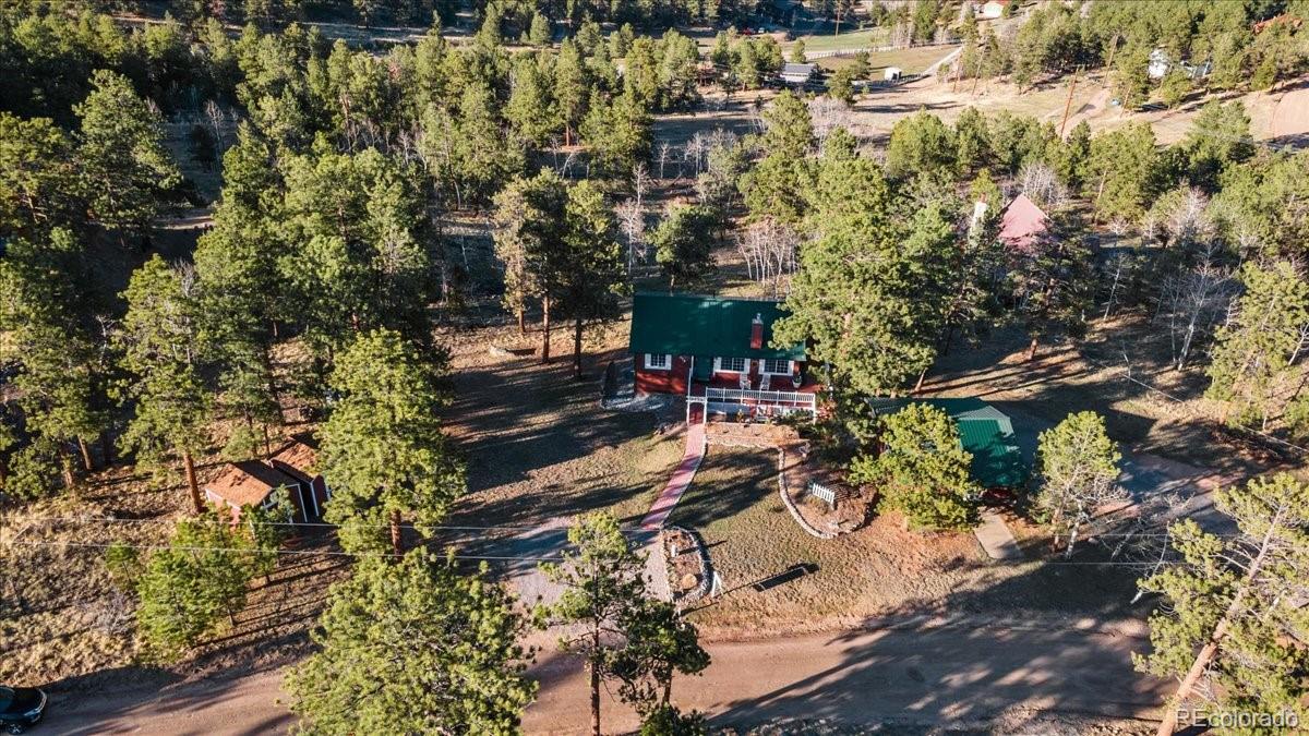 278 Overlook Drive Bailey, CO 80421 - Photo 38 of 40