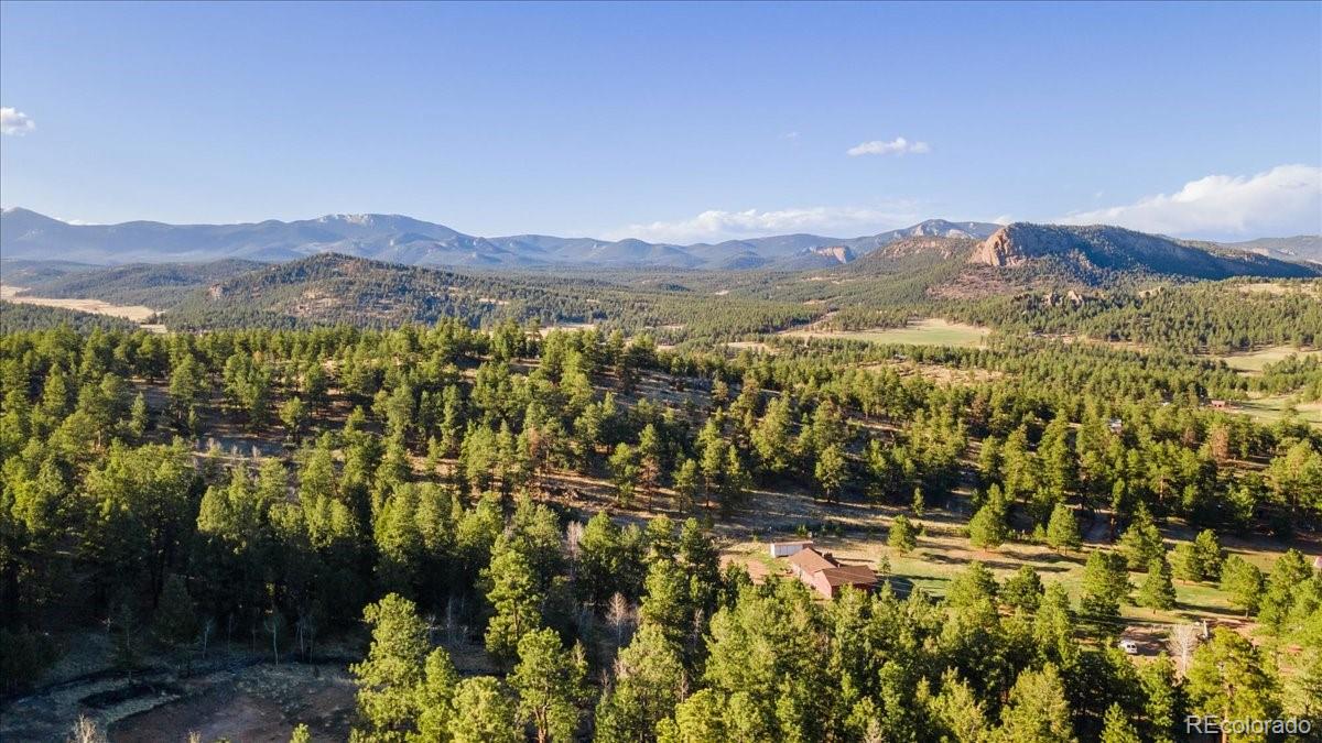 278 Overlook Drive Bailey, CO 80421 - Photo 40 of 40