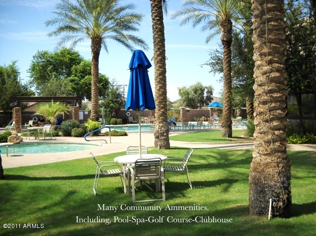 4458 East Walnut Road Gilbert, AZ 85298 - Photo 13 of 15 Pool Area