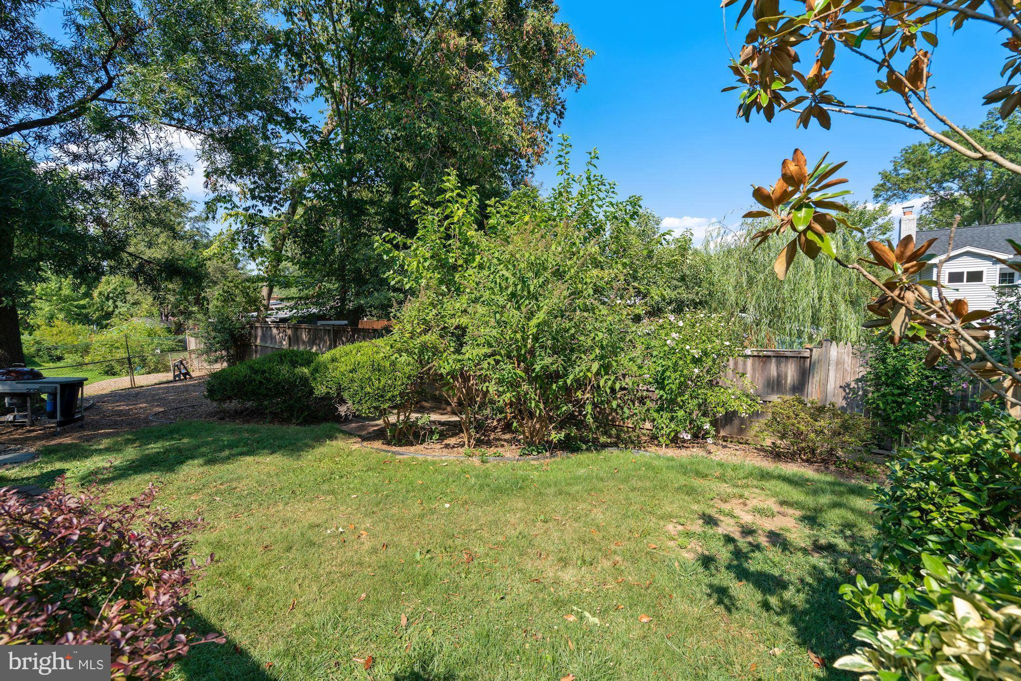 8703 Highgate Road Alexandria, VA 22308 - Photo 35 of 40 Back yard at 8703