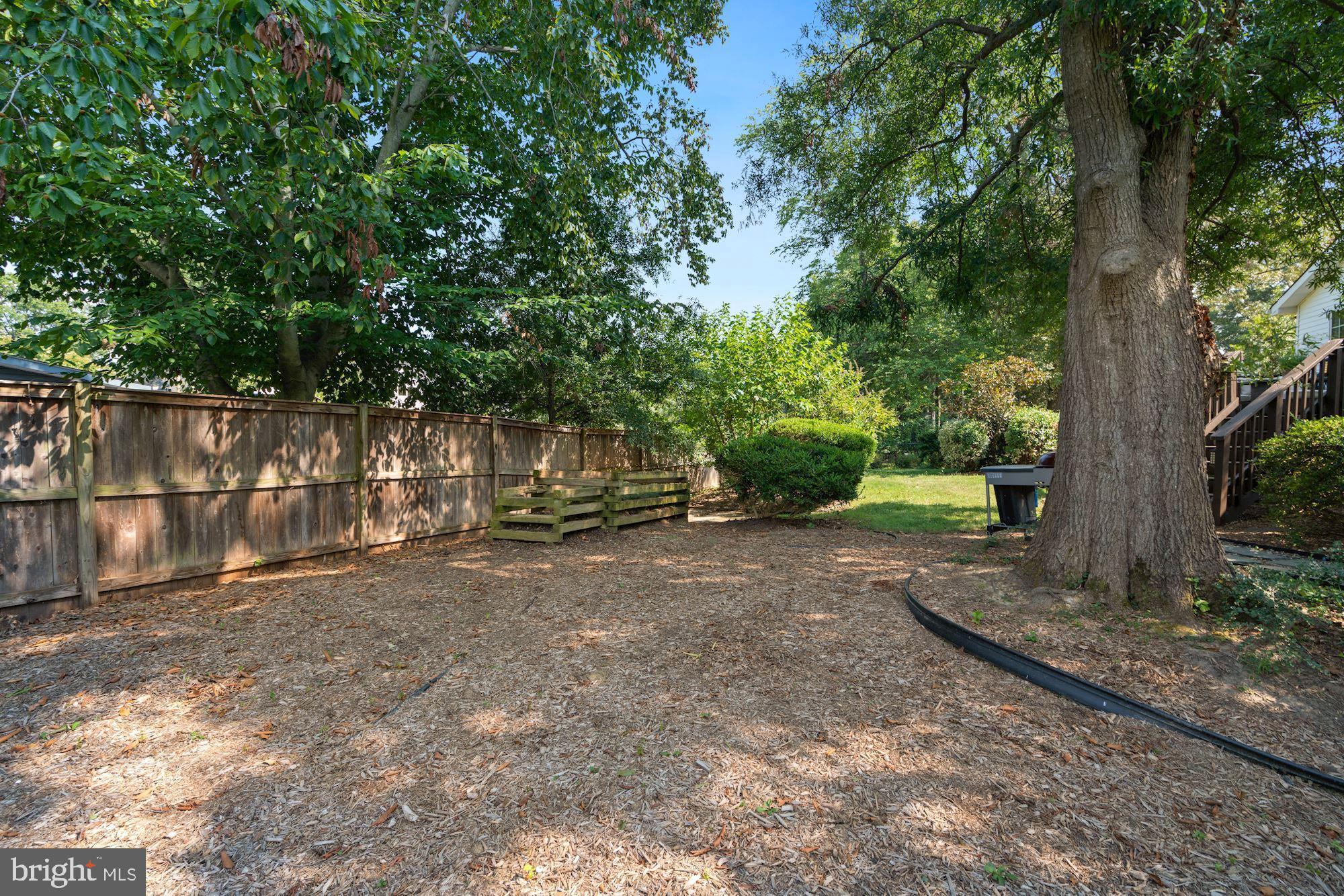 8703 Highgate Road Alexandria, VA 22308 - Photo 36 of 40 Part of backyard perfect for pets