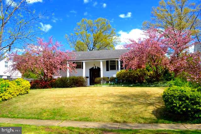 8703 Highgate Road Alexandria, VA 22308 - Photo 7 of 40 Blooming cherry trees in the spring