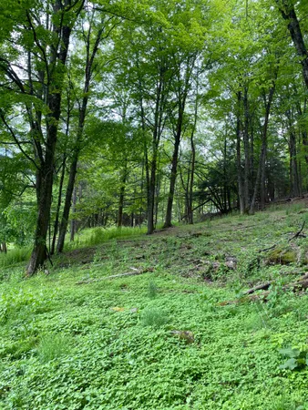 $845,000 | 234 Randall Road, Woodstock, VT 05091