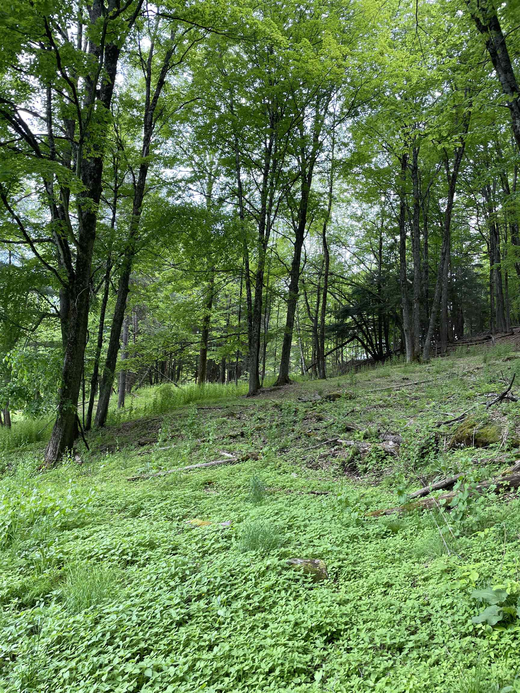 234 Randall Road Woodstock, VT 05091 - Photo 12 of 14