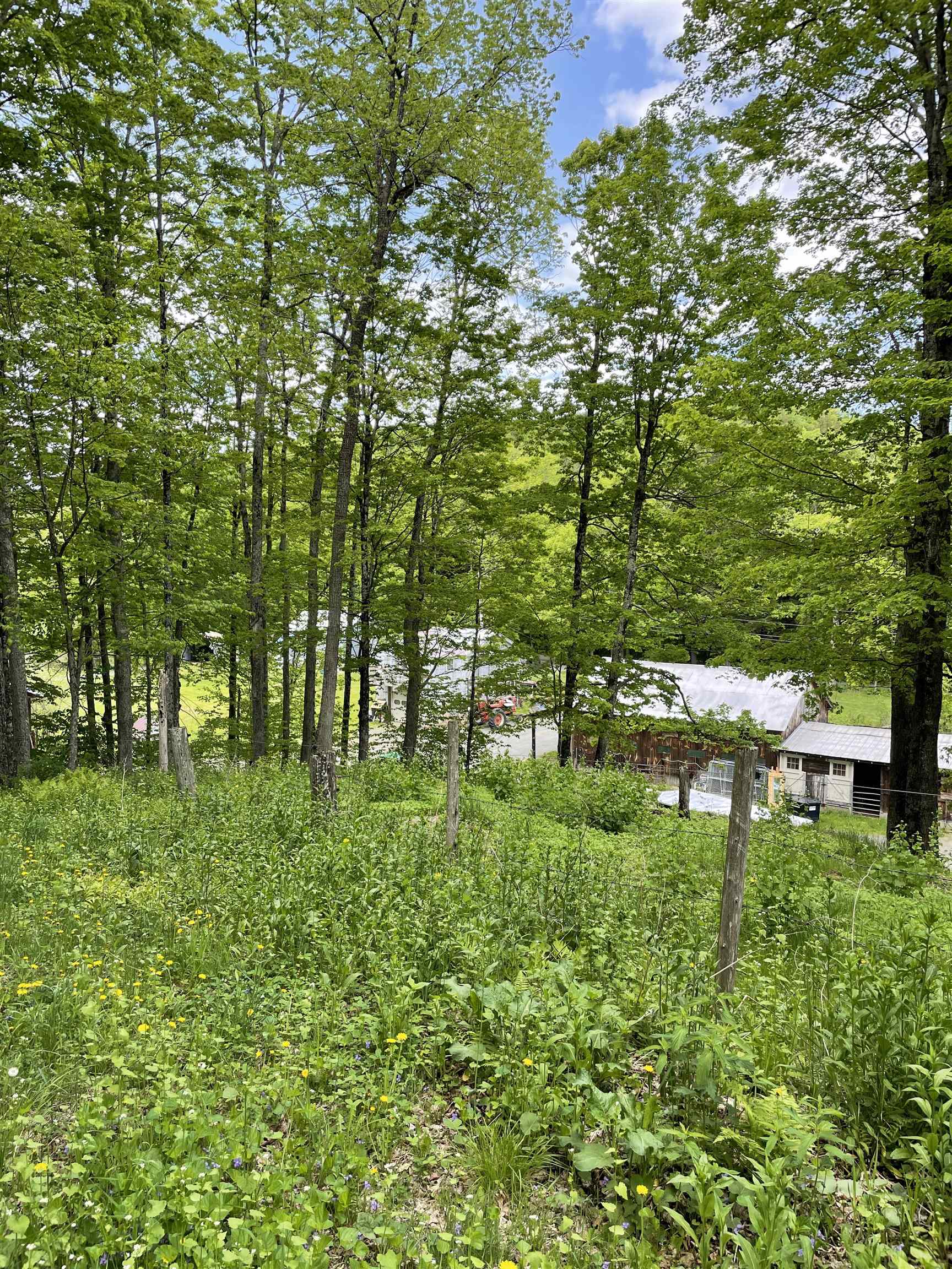 234 Randall Road Woodstock, VT 05091 - Photo 14 of 14