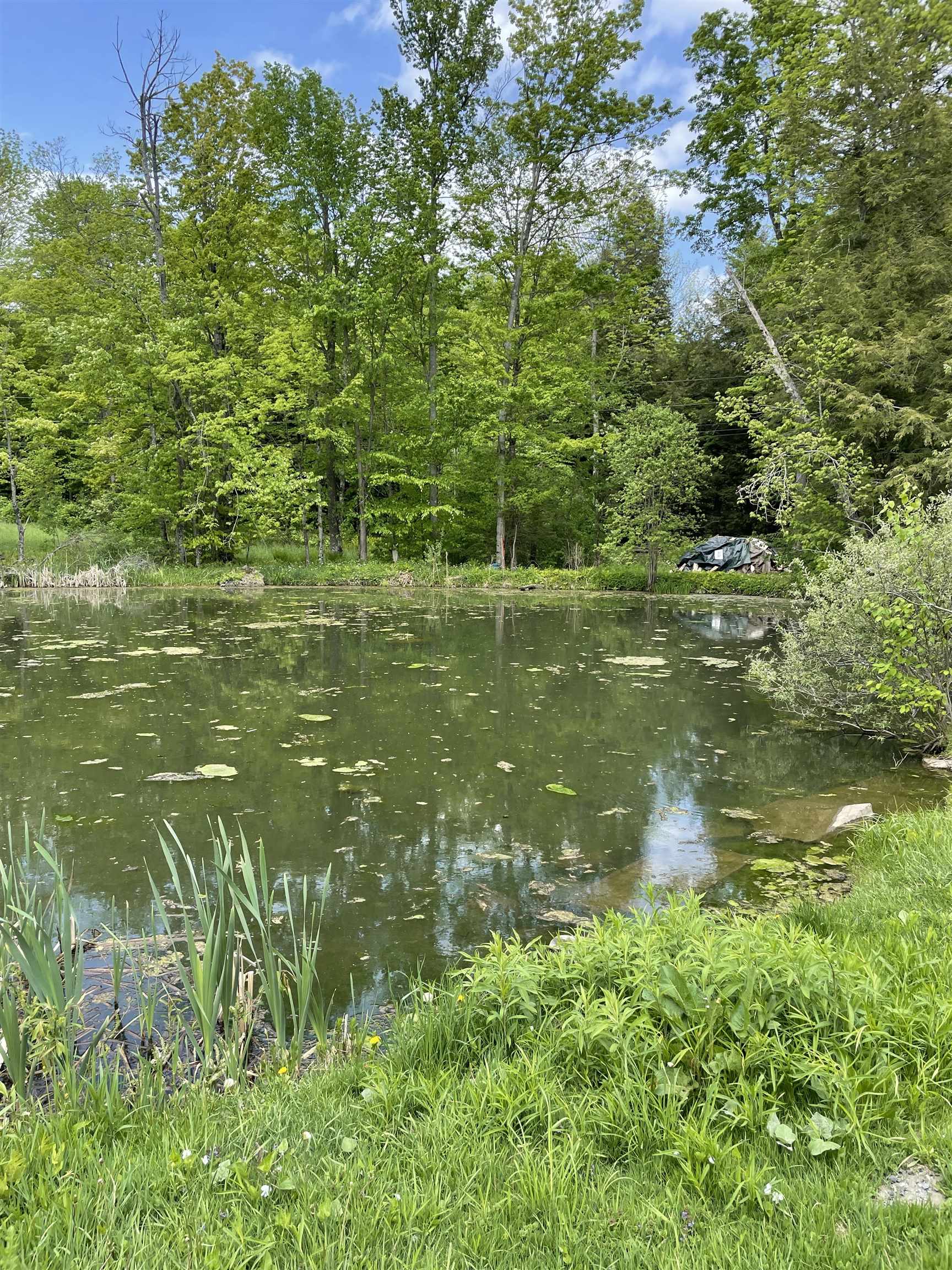 234 Randall Road Woodstock, VT 05091 - Photo 3 of 14