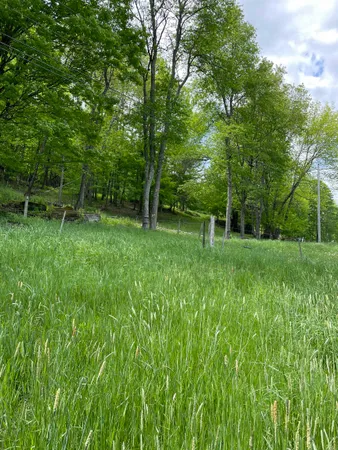 $845,000 | 234 Randall Road, Woodstock, VT 05091