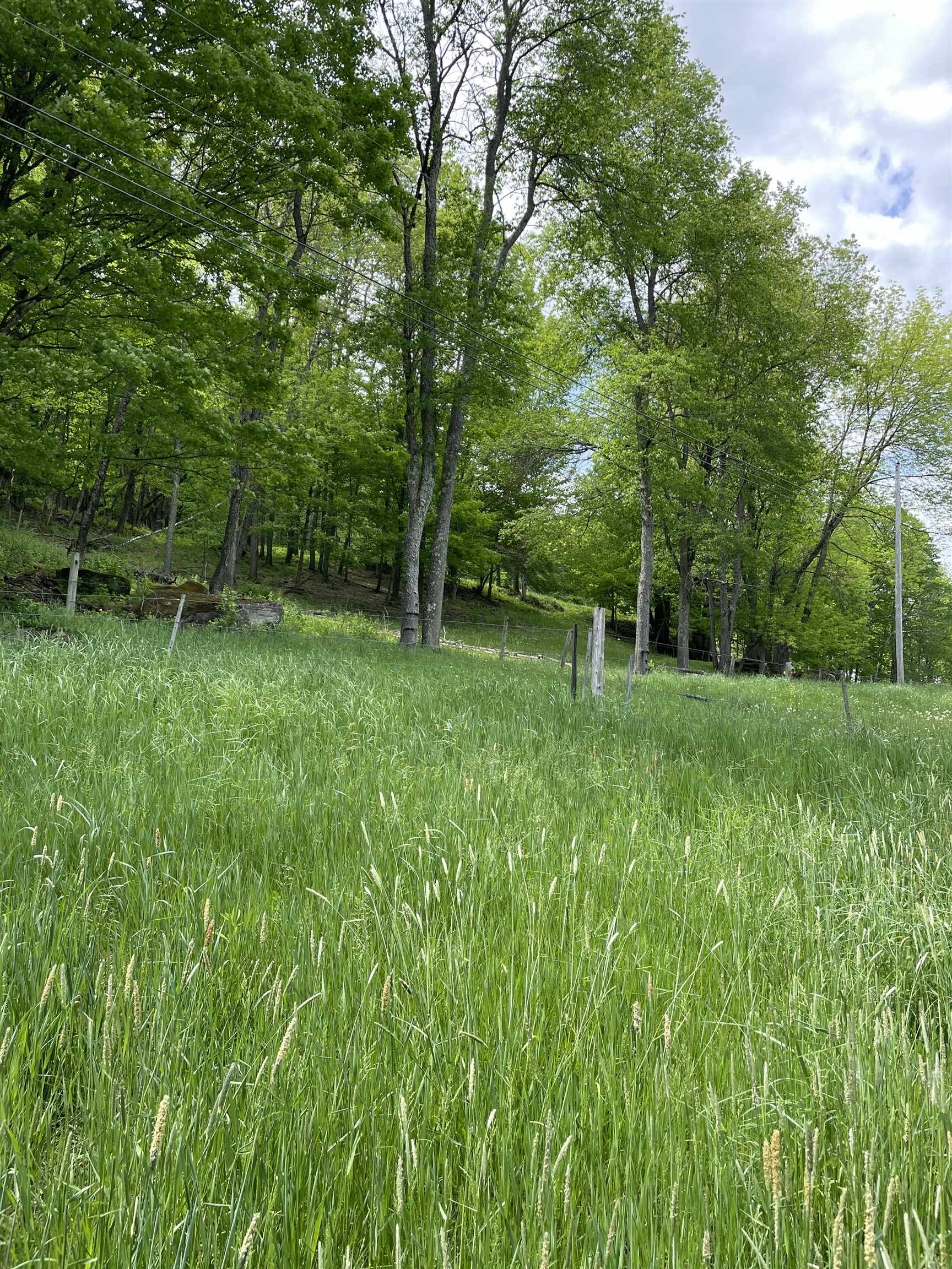 234 Randall Road Woodstock, VT 05091 - Photo 6 of 14