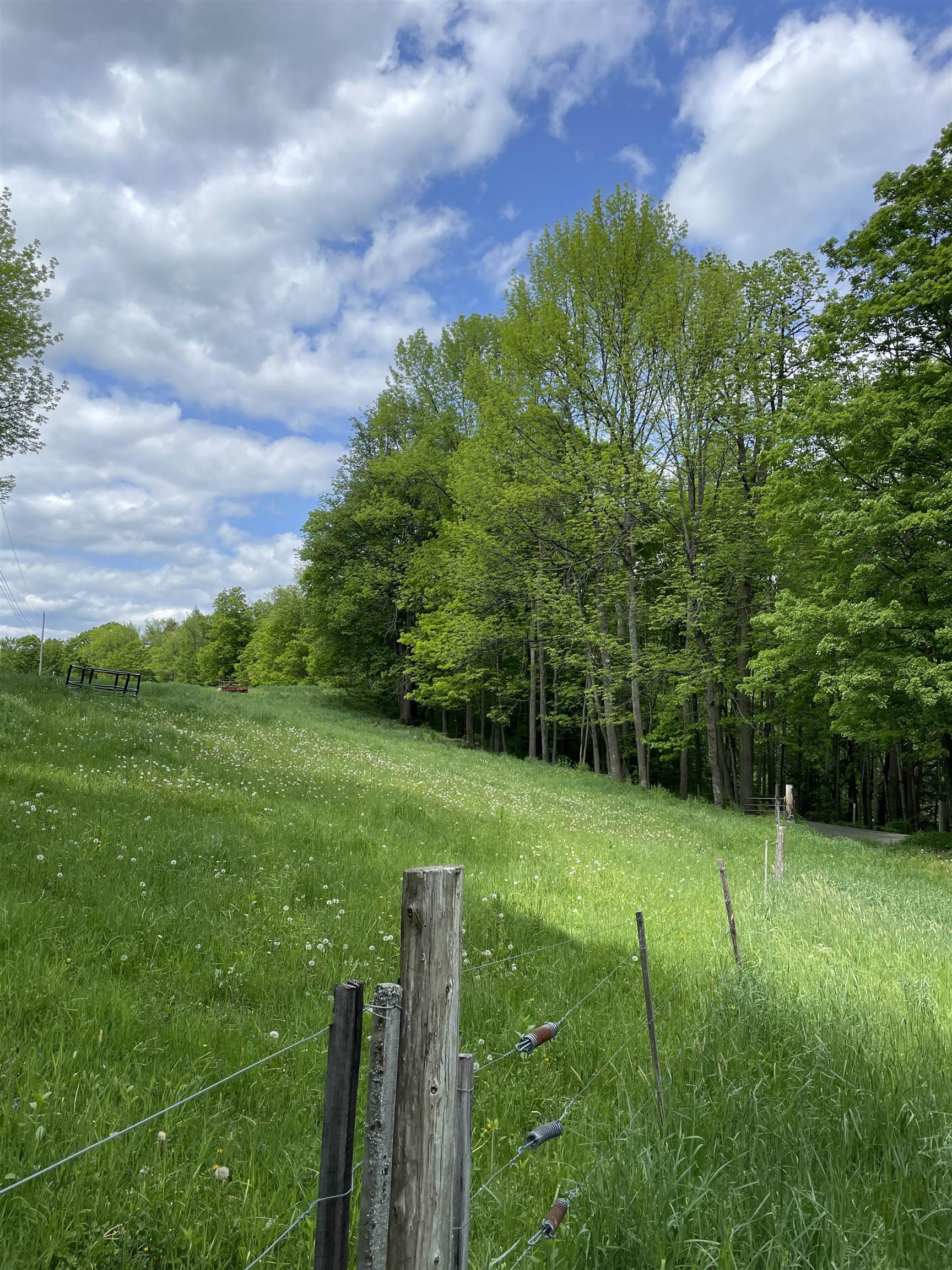 234 Randall Road Woodstock, VT 05091 - Photo 7 of 14