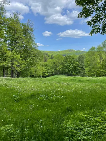 $845,000 | 234 Randall Road, Woodstock, VT 05091