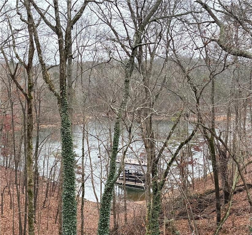 5997 Warpath Road Flowery Branch, GA 30542 - Photo 12 of 76