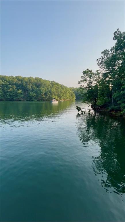 5997 Warpath Road Flowery Branch, GA 30542 - Photo 68 of 76