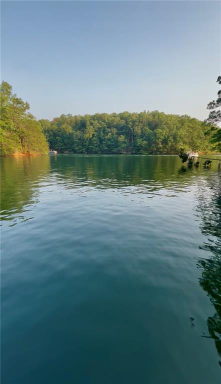 5997 Warpath Road Flowery Branch, GA 30542 - Photo 8 of 76 a view of a lake with houses in background