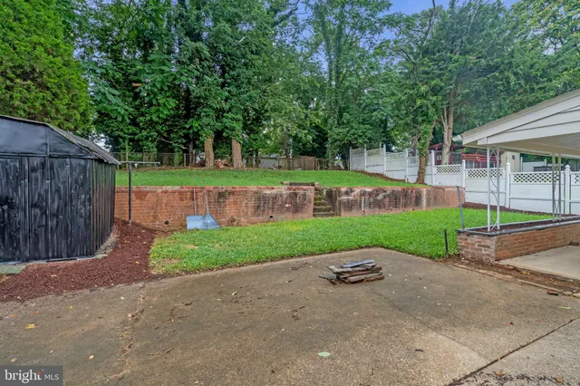 a view of a park with large trees and plants