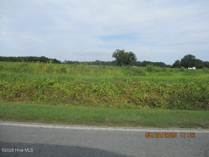 0 Moltonville Road Clinton, NC 28328 - Photo 6 of 9 IMG_7761