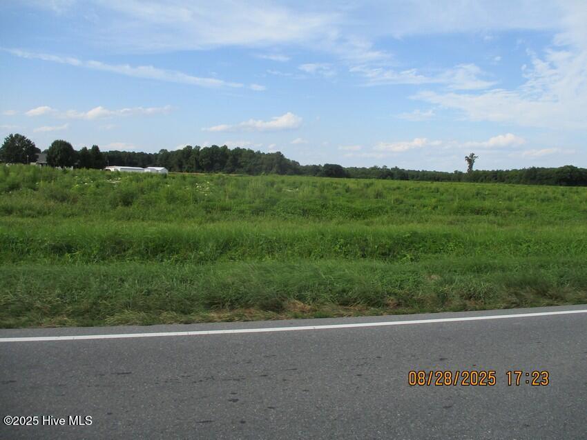 0 Moltonville Road Clinton, NC 28328 - Photo 7 of 9 IMG_7763