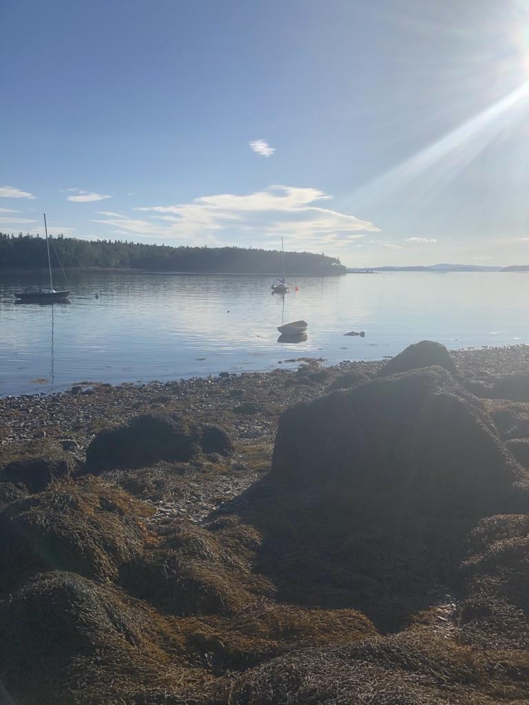 203 Dow Road Deer Isle, ME 04627 - Photo 26 of 28 Protected Northwest Harbor