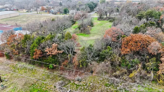 a view of a yard with plants and large trees